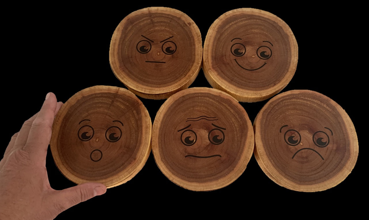 Papoose - Mood Slices - Emotions 5pc