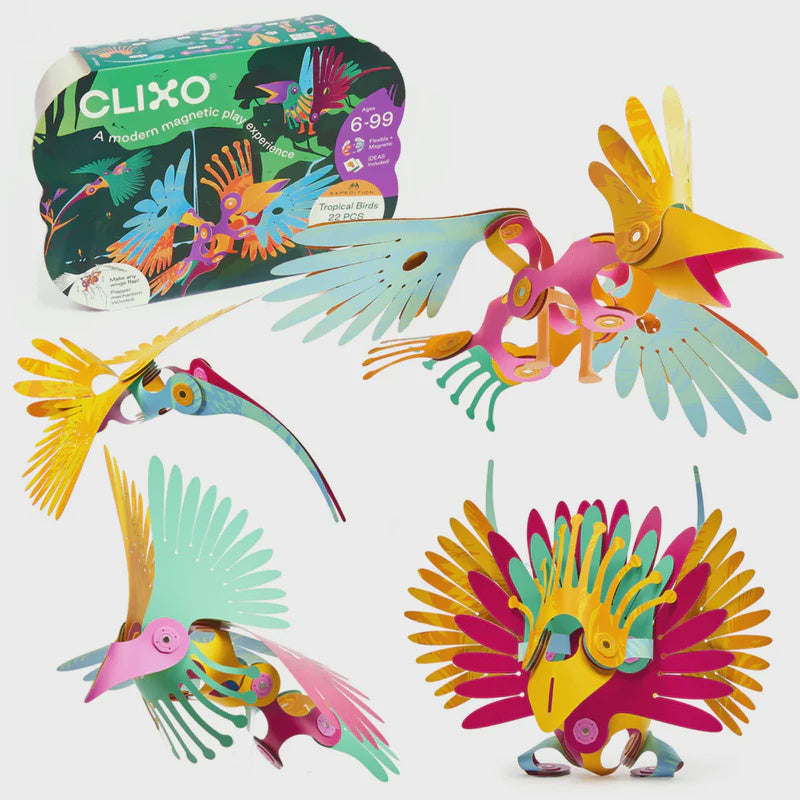 Clixo - Tropical Birds  - Magnetic Building