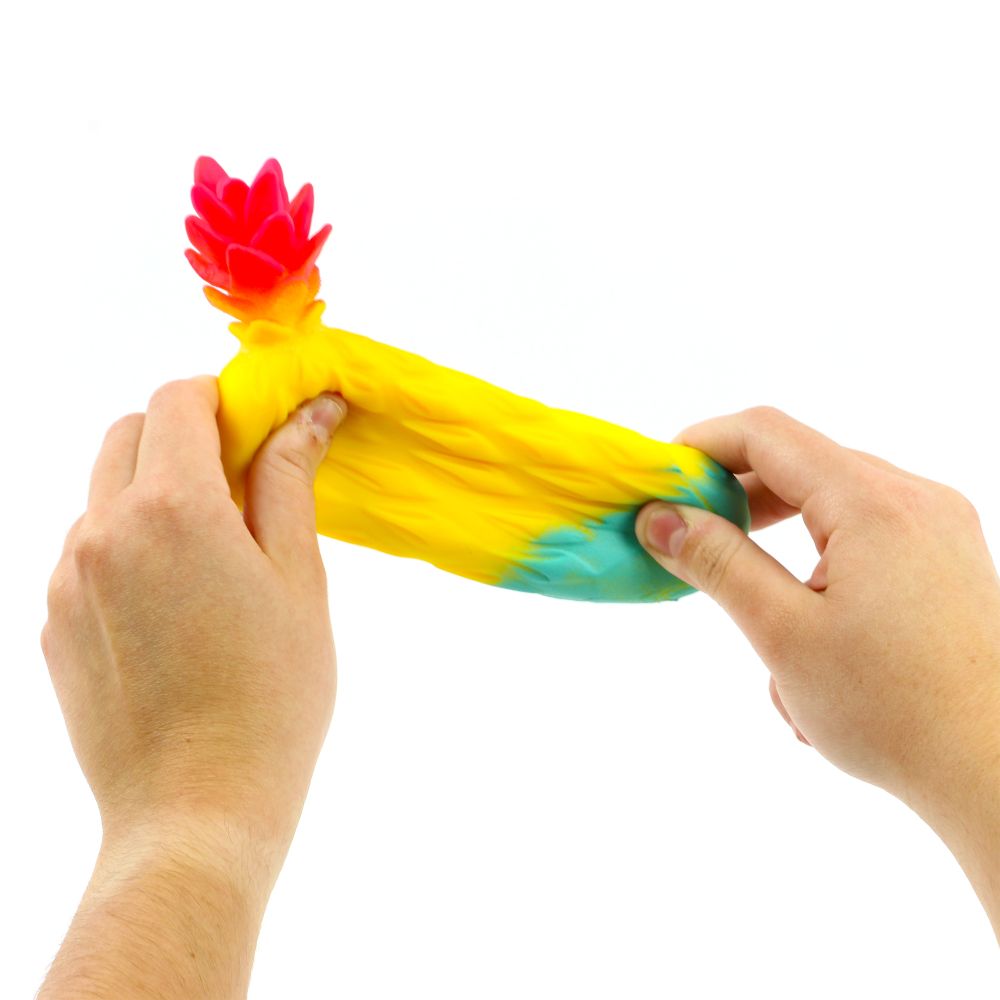 GOGOPO Rainbow Stretchy Fruit - Sensory Tactile Fidget