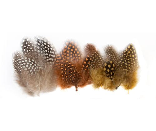 Guinea Fowl Feathers 10g Natural 100’s
