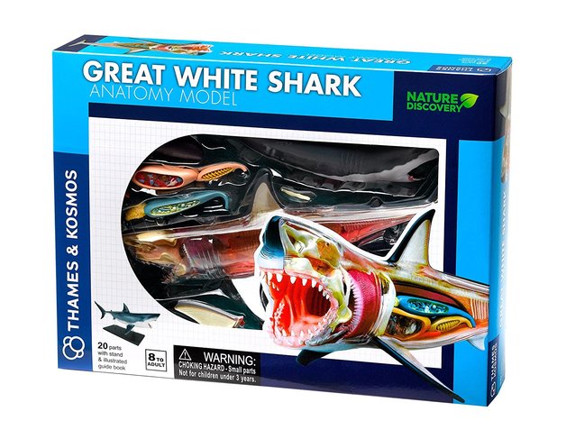 THAMES & KOSMOS Anatomy - Great White Shark 261110