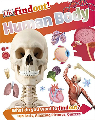 DK FIND OUT!: HUMAN BODY