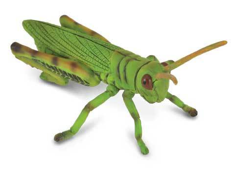 CollectA - Insects & Spiders -  Grasshopper