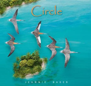 Circle - Picture Book -  Hardback