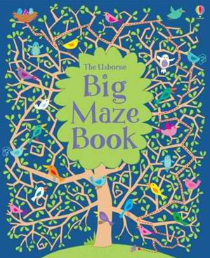 Big Maze Book - Activity paperback Book