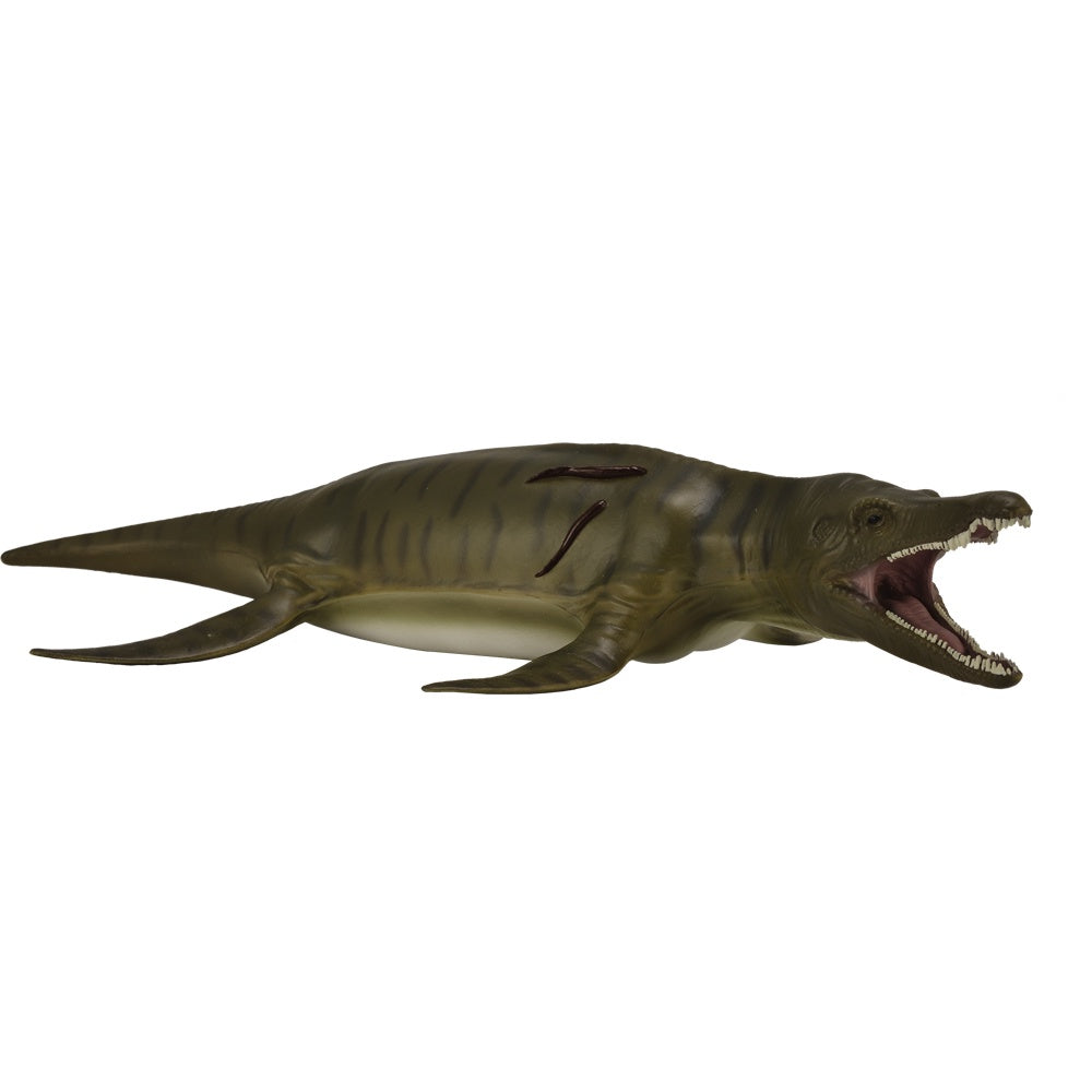 CollectA- Dinosaur-Pliosaurus Deluxe 1:40 scale
