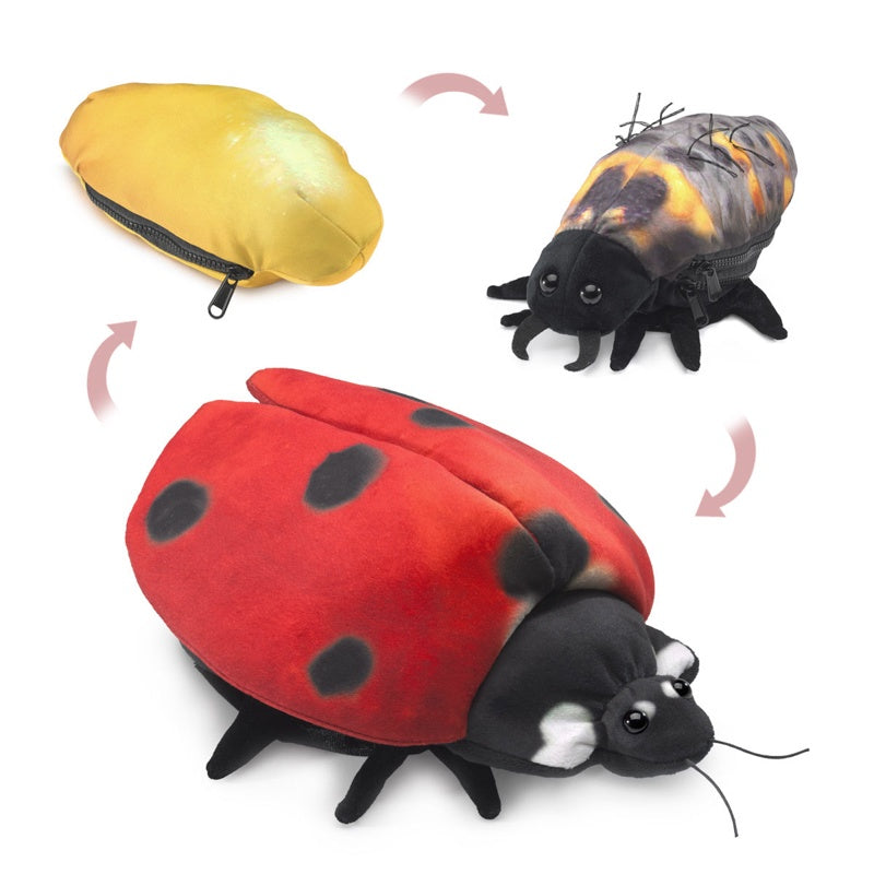FOLKMANIS Life Cycle Puppet - Ladybug