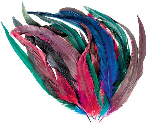 Cocktail Feathers 18’s Assorted