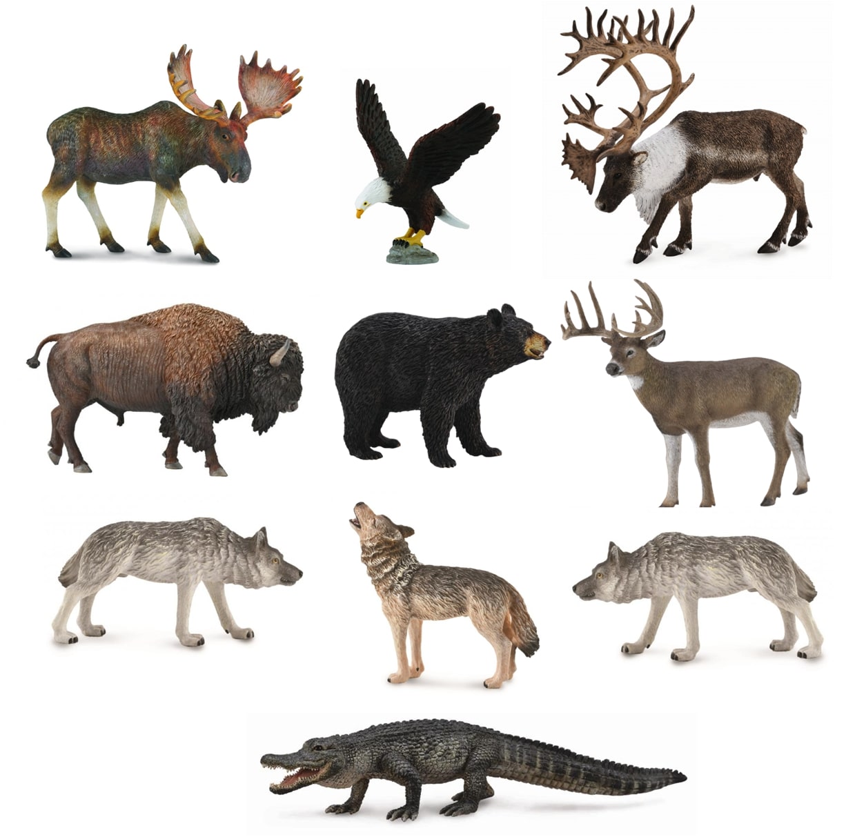 CollectA - Wildlife - North America Set A - Set of 10