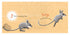 Ten Little Owls - Board Book - Counting