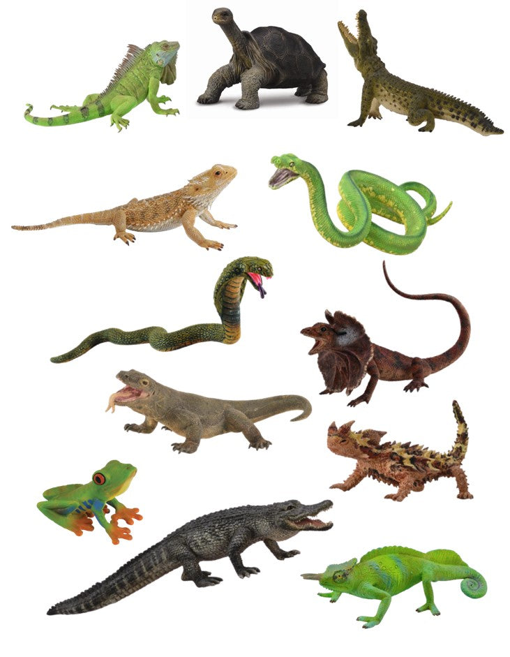 CollectA- Amphibans and Reptiles - Set A -  Set of 12