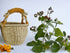 Baskets - Round Baby Basket - Small Natural