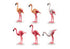 PLAYMOBIL Zoo/Wildlife -  Flock of Flamingos- 70351
