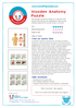 Qtoys - Anatomy Puzzle - Large Wooden Human Body