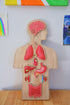 Qtoys - Anatomy Puzzle - Large Wooden Human Body