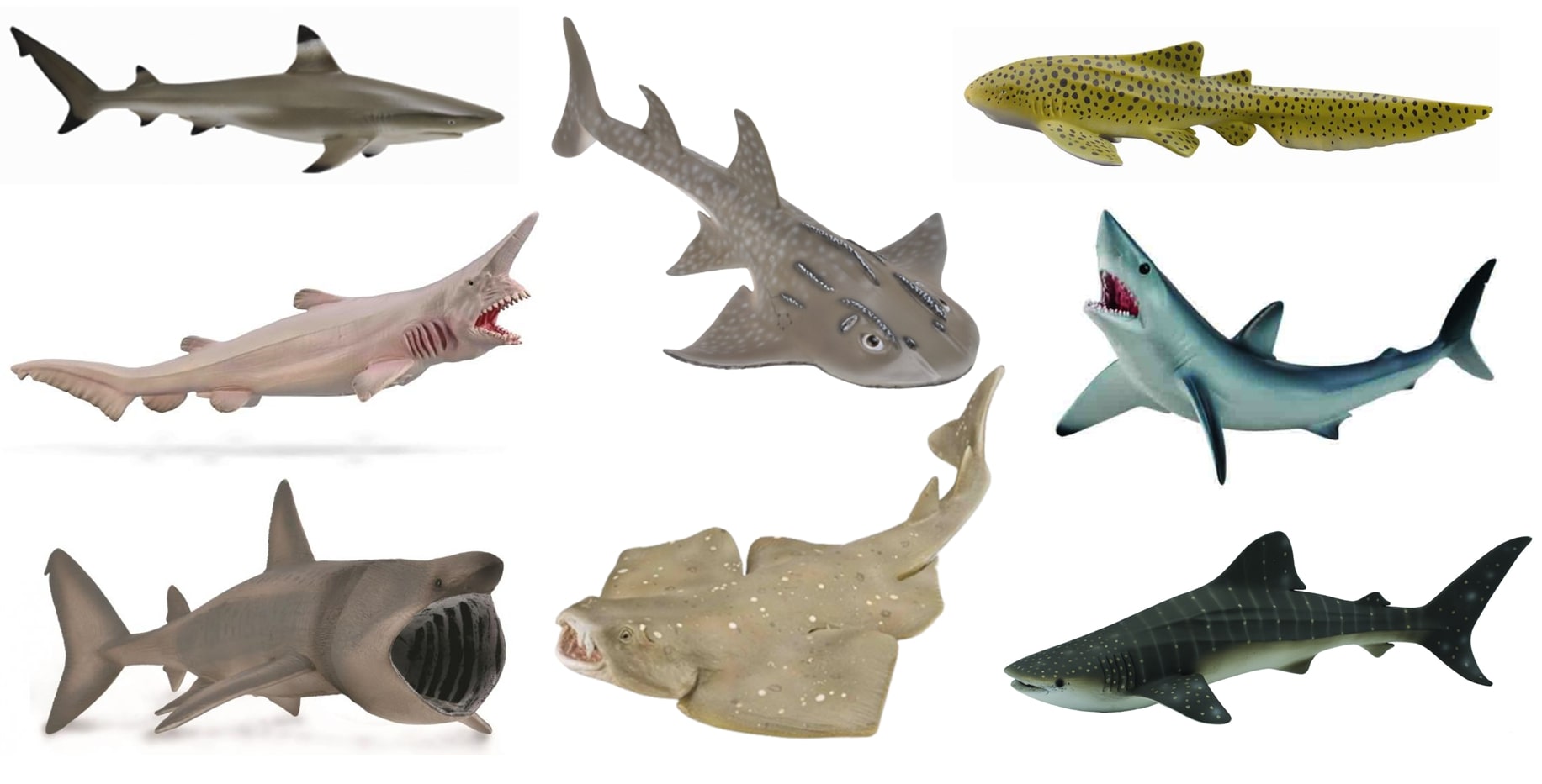 CollectA - Ocean - Set C - Sharks Set of 8