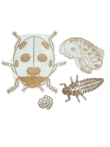 Stuka Puka Ladybug - Wooden Educational Puzzle