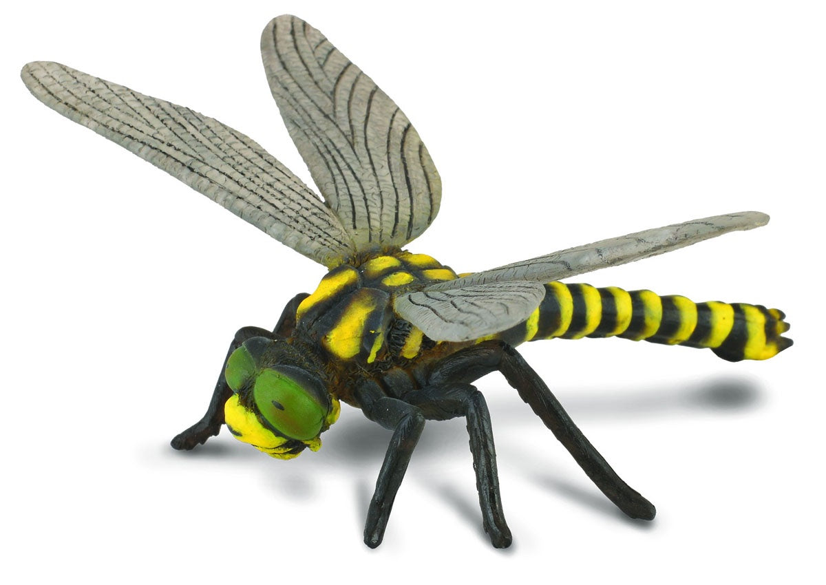 CollectA -  Insects & Spiders - Golden-Ringed Dragonfly