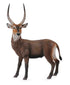 CollectA - Wildlife - Waterbuck