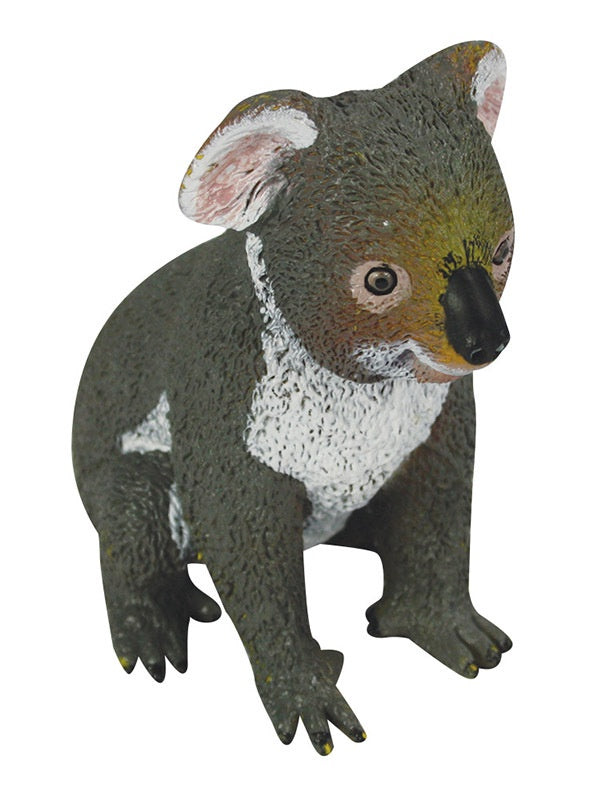 Animals of Australia - Small Koala