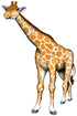 Tuzzles  Floor Puzzle Wooden  Giraffe 29pc