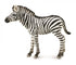 CollectA - Wildlife -  Zebra Foal