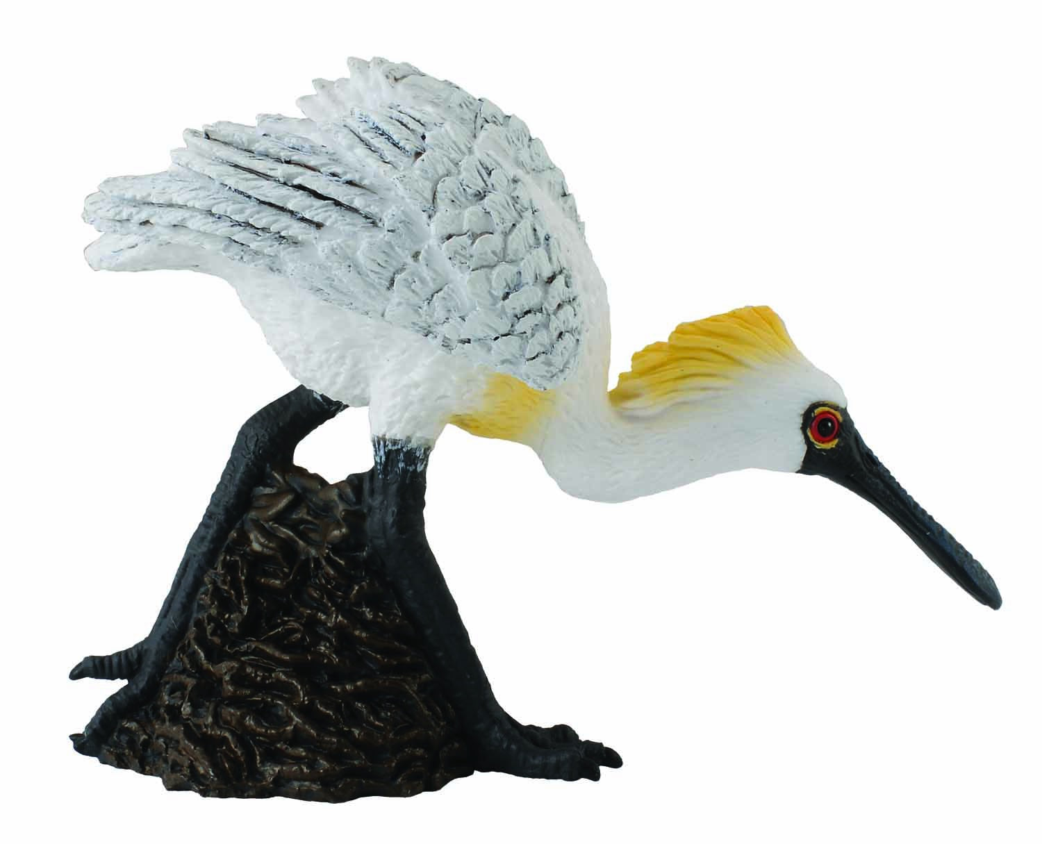 CollectA - Wildlife - Black-Faced Spoonbill - Walking – Toys2Learn