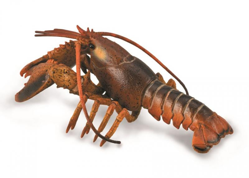 CollectA - Ocean -  Lobster