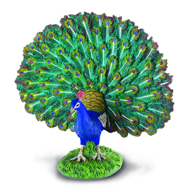 CollectA - Farm - Peacock