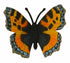 CollectA - Insects & Spiders - Small Tortoiseshell Butterfly