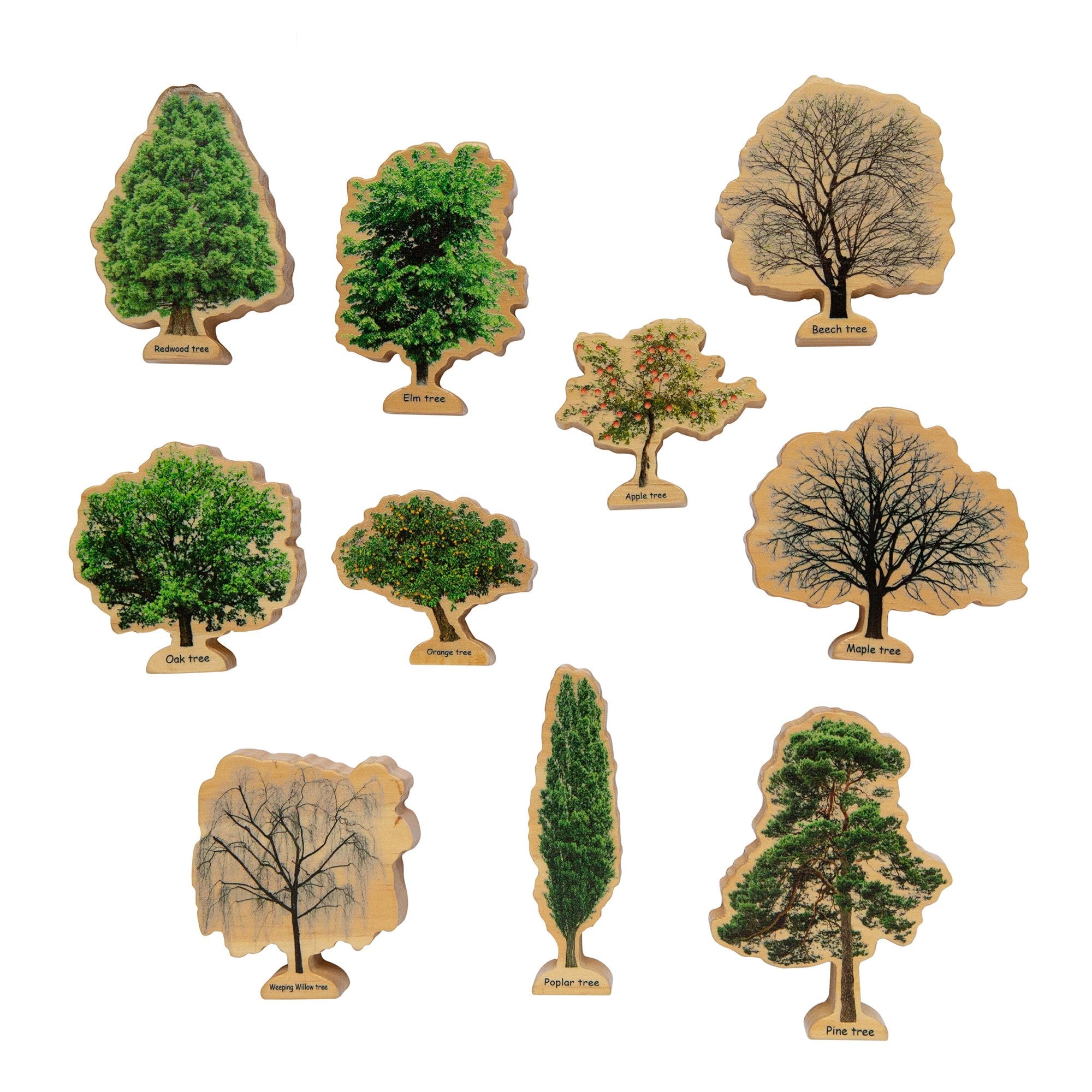 The Freckled Frog - Happy Architect - Trees Seasons - Wooden - 10 Piece