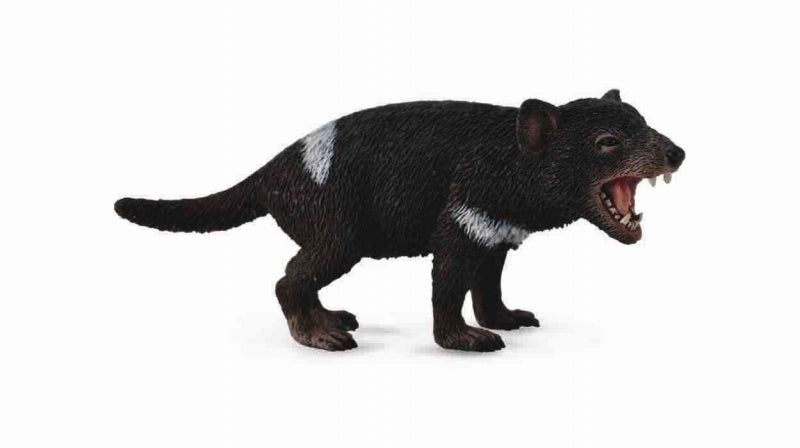 CollectA - Australian - Tasmanian Devil