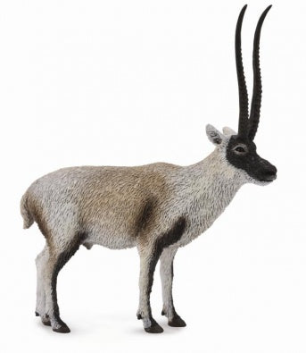 CollectA - Wildlife - Chiru Tibetan Antelope