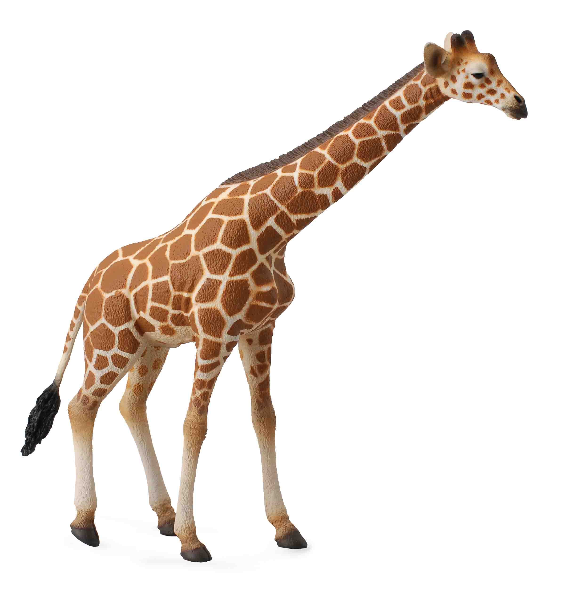 CollectA - Wildlife - Giraffe Reticulated