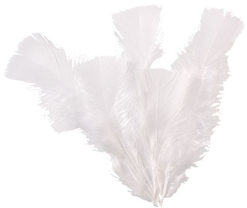 Feathers 30g White 120’s