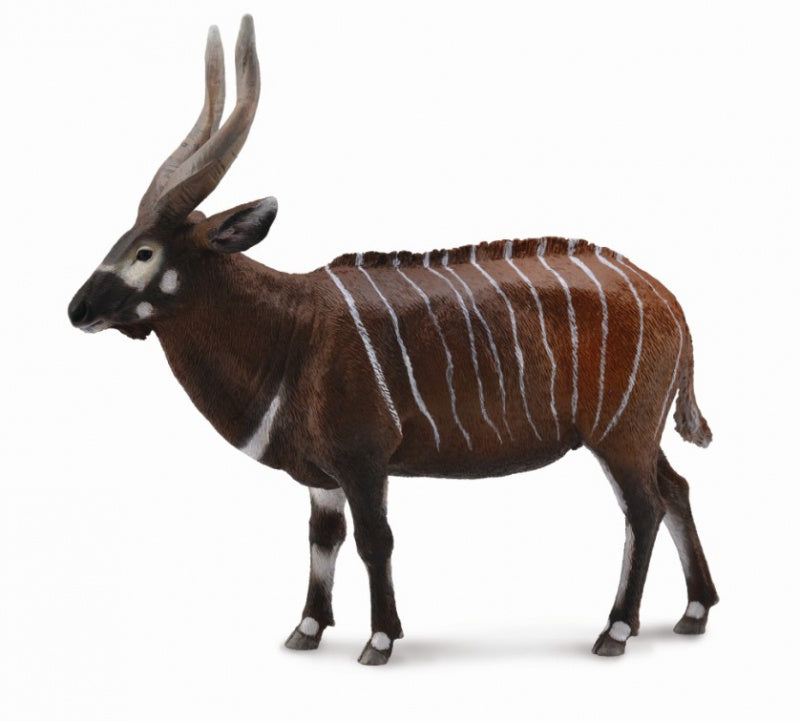 CollectA - Wildlife - Bongo Antelope