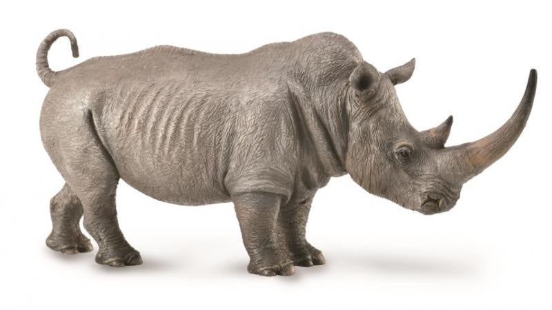 CollectA - Wildlife - White Rhinoceros