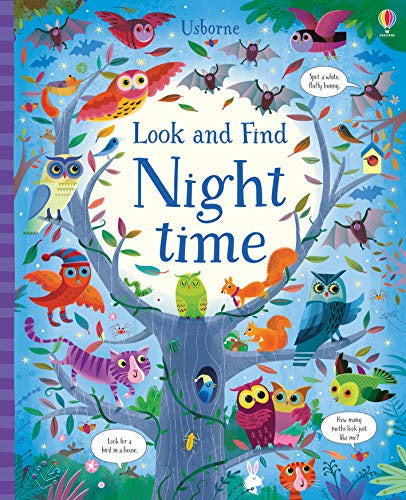 Look and Find Night Time Book