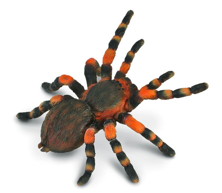 CollectA - Insects & Spiders - Mexican Redknee Tarantula