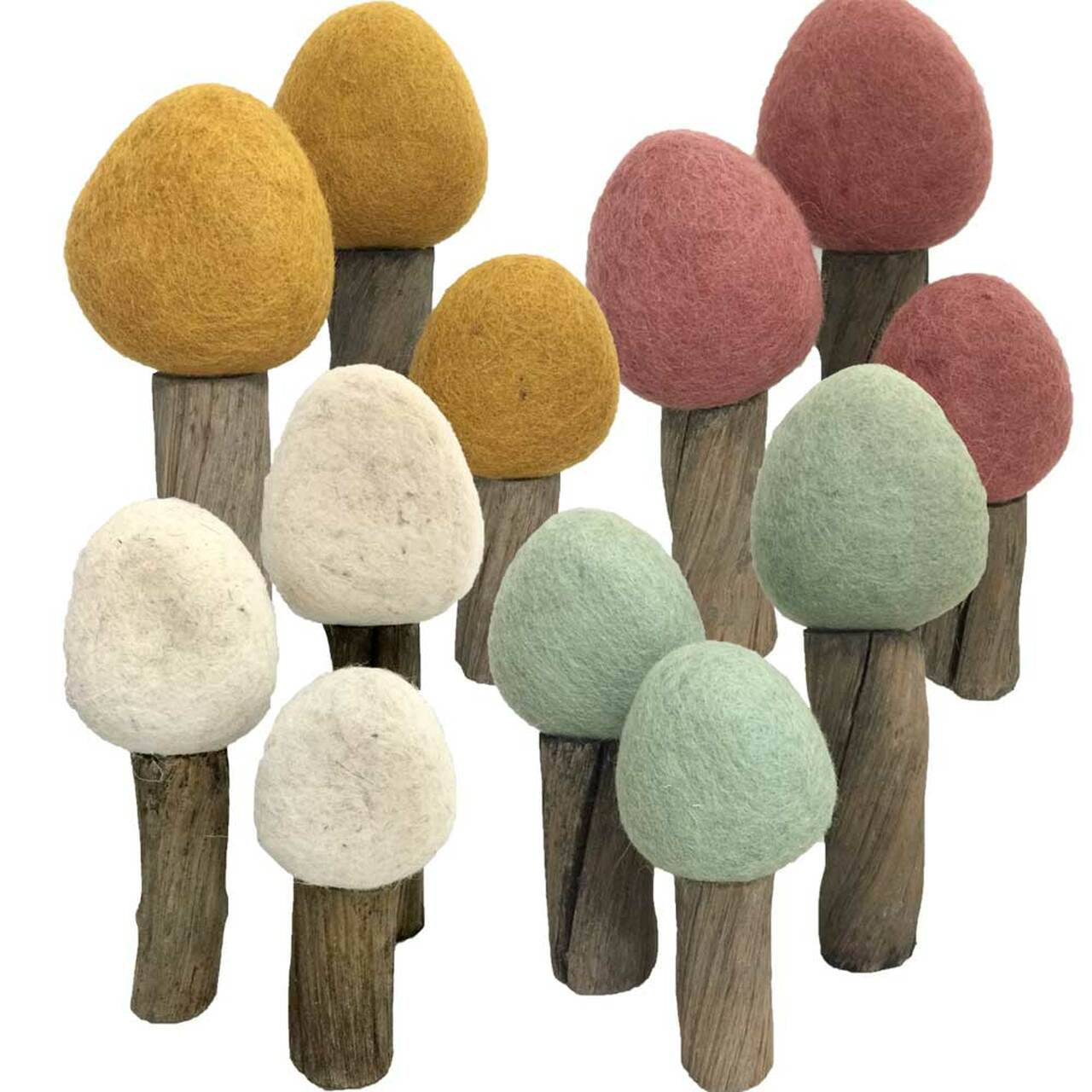 PAPOOSE - Earth Forest Trees - Seasons Set of 12 Assorted