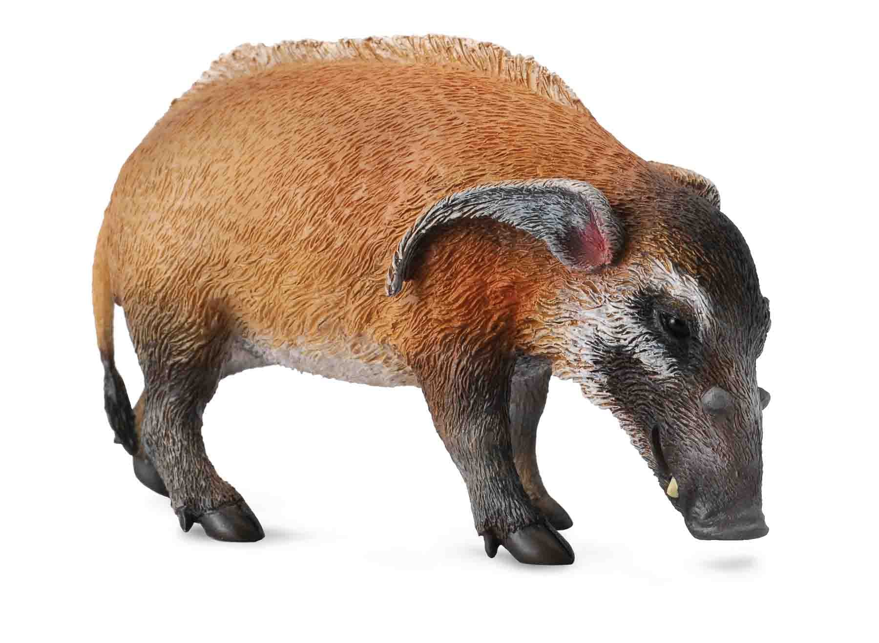 CollectA - Wildlife - Red River Hog