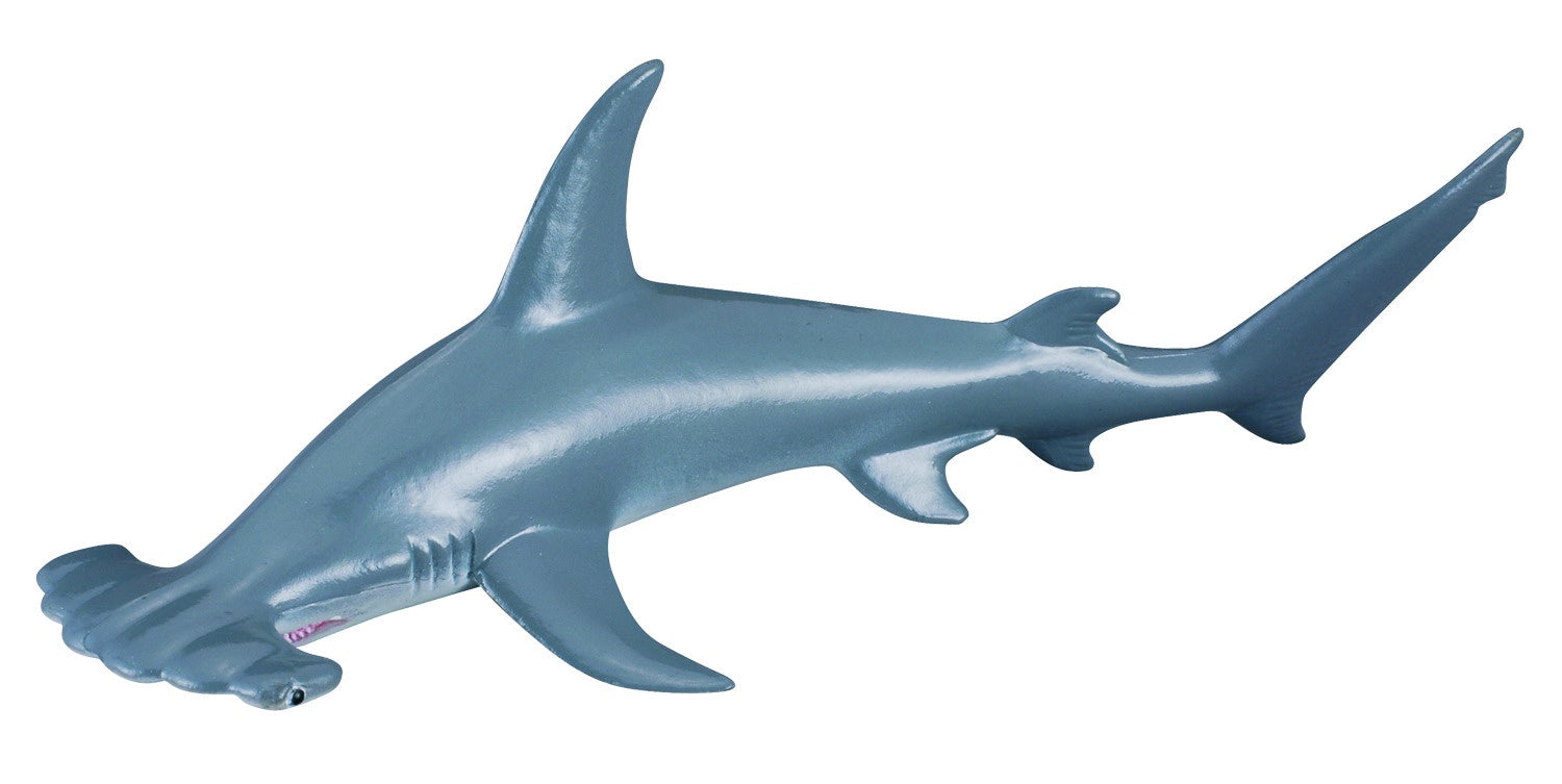 CollectA - Ocean - Scalloped Hammerhead Shark