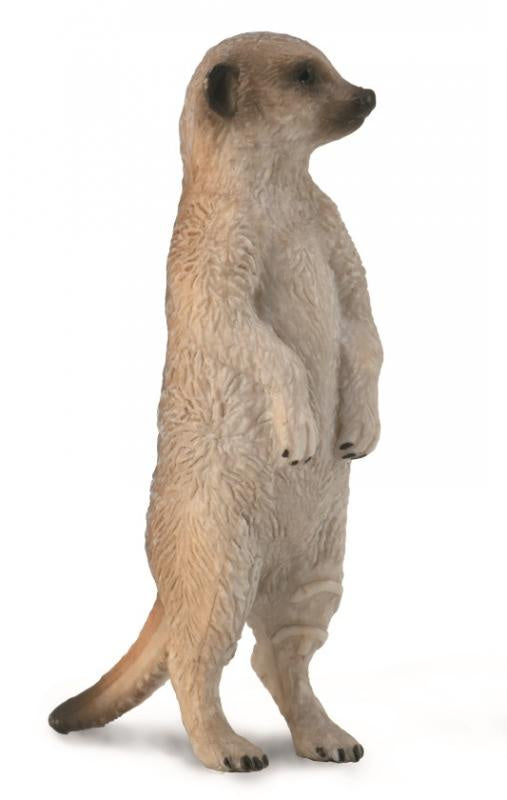 CollectA - Wildlife - Meerkat Standing