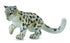 CollectA - Snow Leopard Cub - Playing