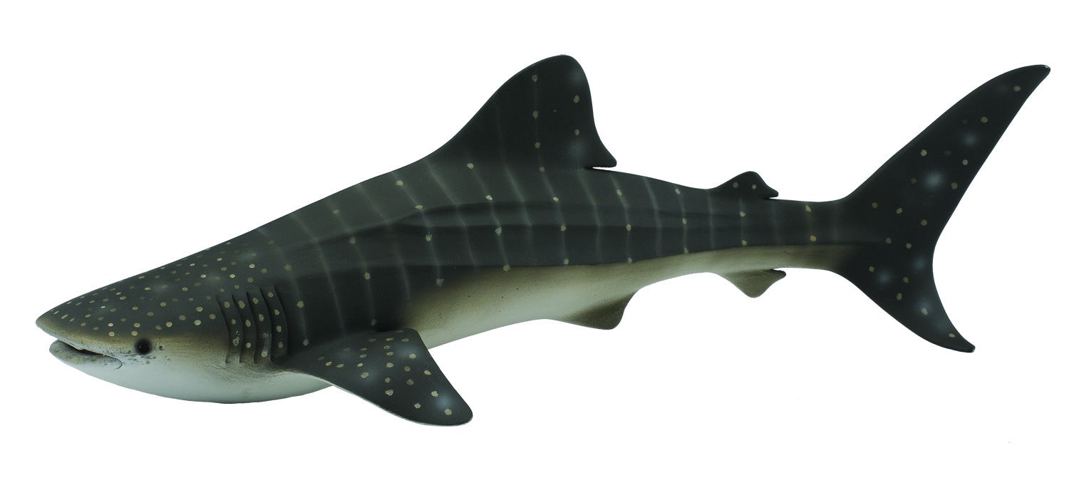 CollectA - Ocean -  Whale Shark