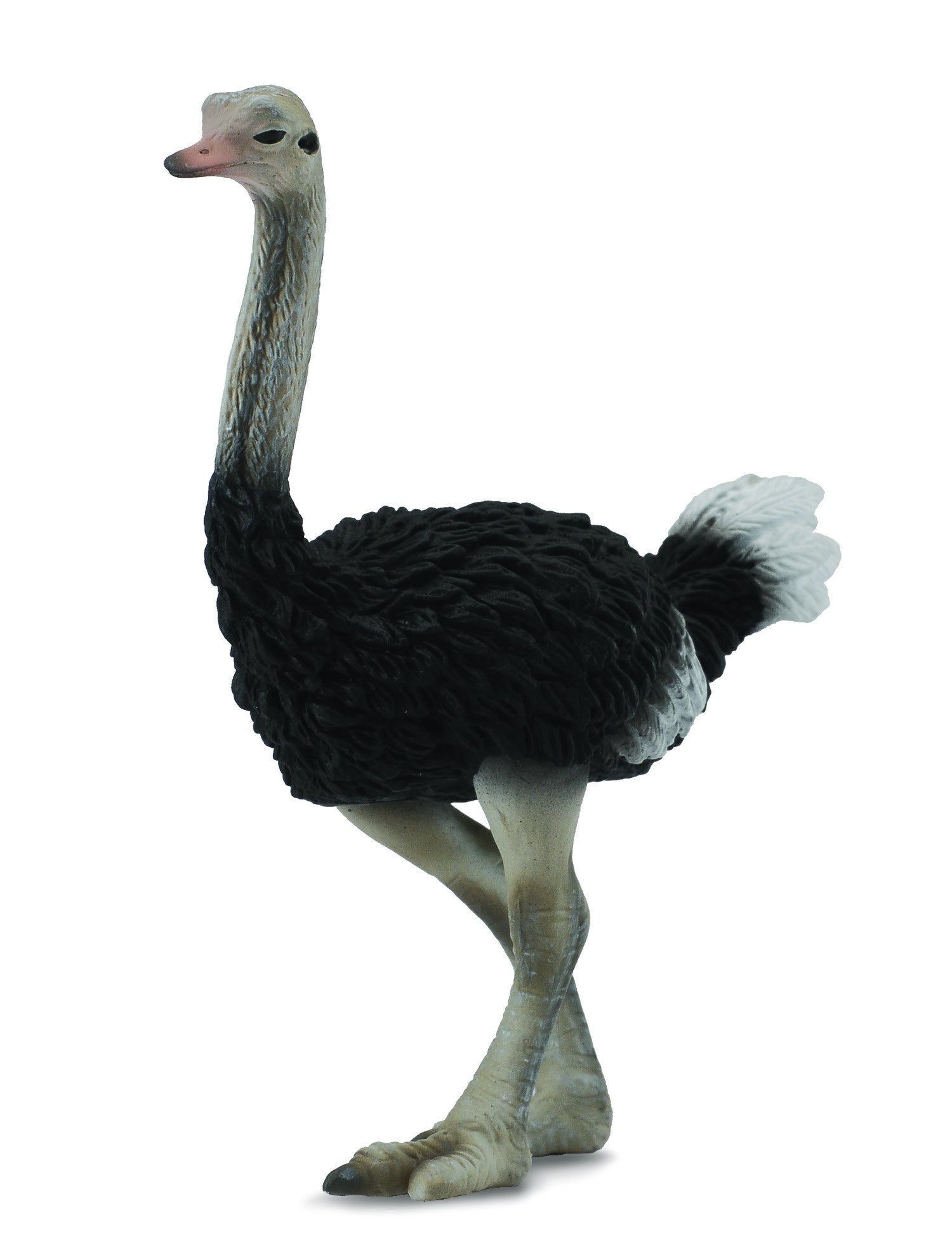 CollectA -  Wildlife - Ostrich