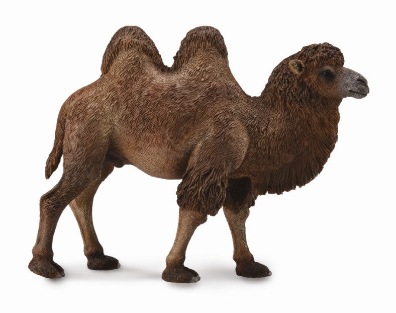 CollectA - Wildlife - Bactrian Camel