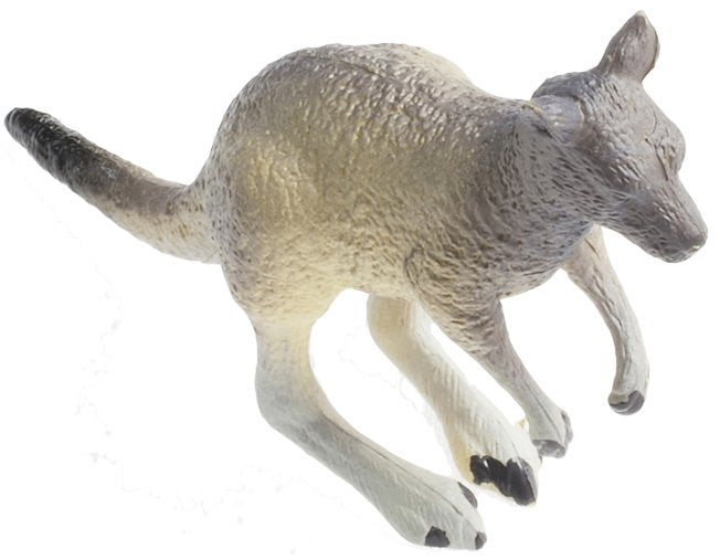 Animals of Australia - Small Kangaroo