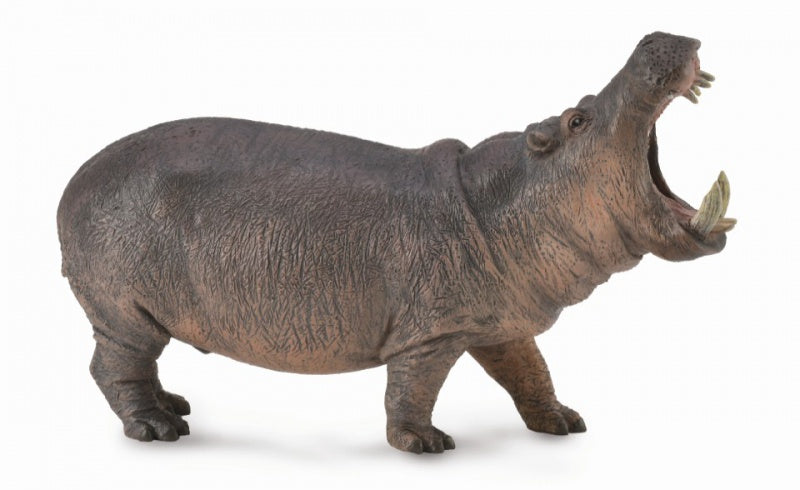 CollectA - Wildlife - Hippopotamus