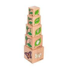 The Freckled Frog - Lifecycle Stacking Blocks - Wooden